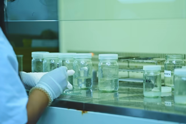 Asian scientist working in a laboratory conducting experiments and reviewing results, illustrating careful sample analysis in a scientific research process.